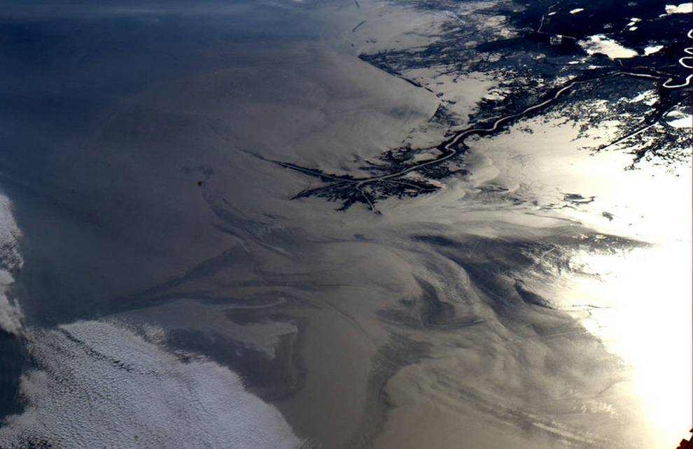Фотография: Разлив нефти в Мексиканском заливе продолжается №28 - BigPicture.ru