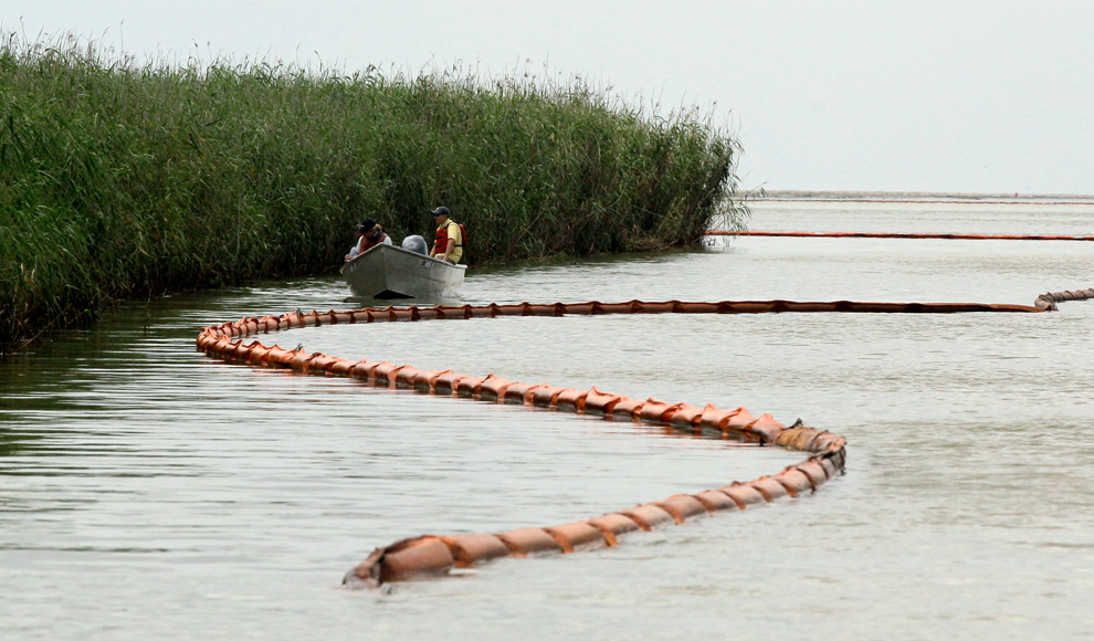 Фотография: Нефть достигла берегов Луизианы №28 - BigPicture.ru