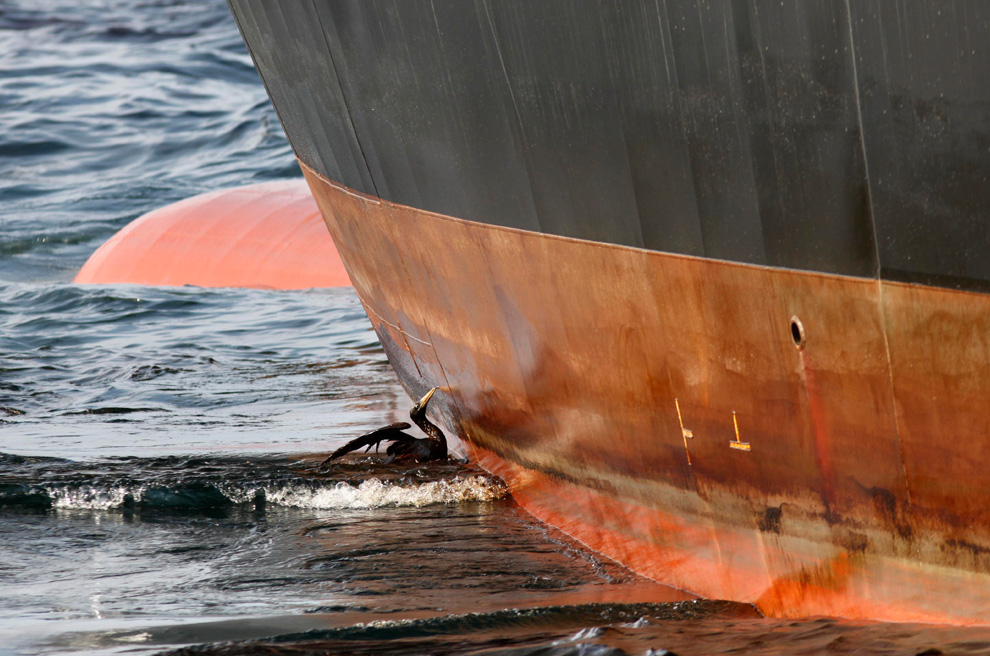 Фотография: Разлив нефти в Мексиканском заливе продолжается №31 - BigPicture.ru