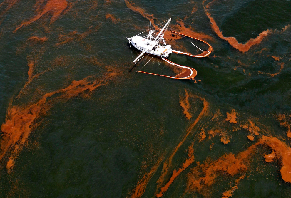 Фотография: Нефть достигла берегов Луизианы №35 - BigPicture.ru