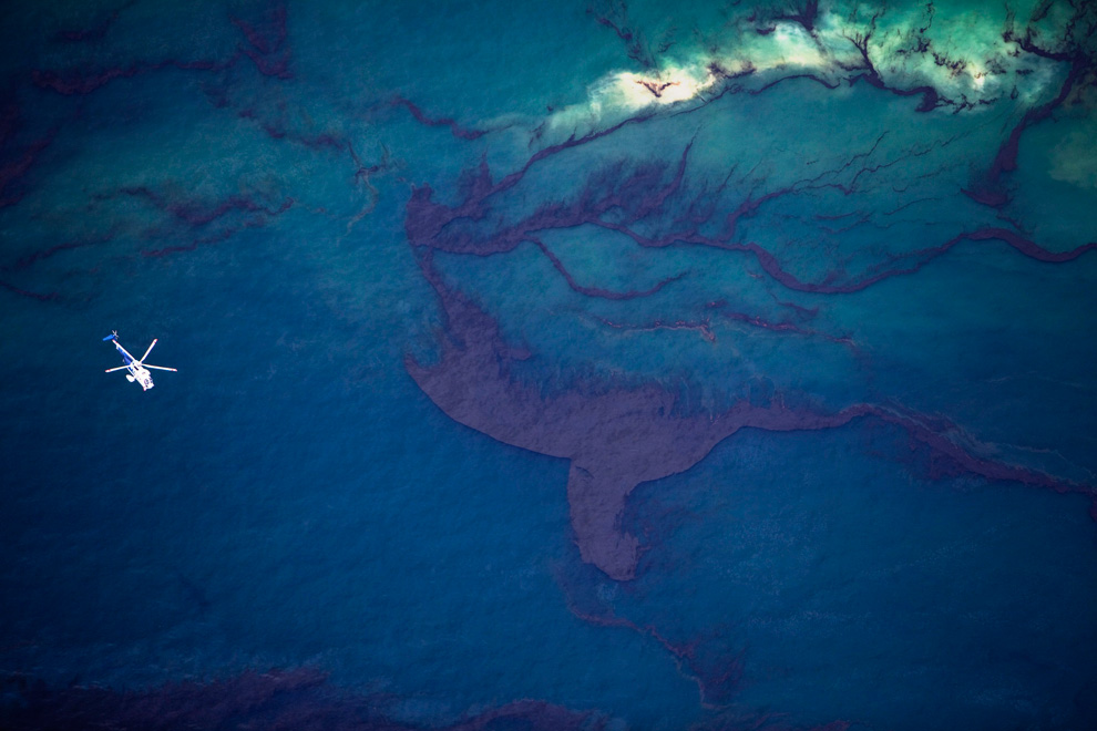 Фотография: Нефть достигла берегов Луизианы №38 - BigPicture.ru