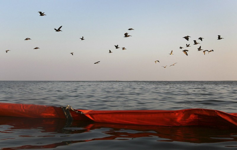 Фотография: Страшные последствия разлива нефти в Мексиканском заливе №3 - BigPicture.ru