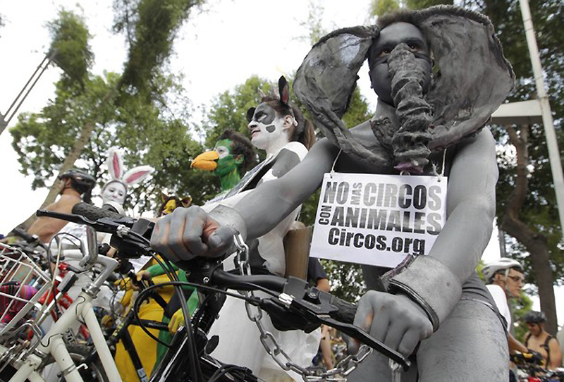 Фотография: Голый заезд на велосипедах в Мехико №3 - BigPicture.ru