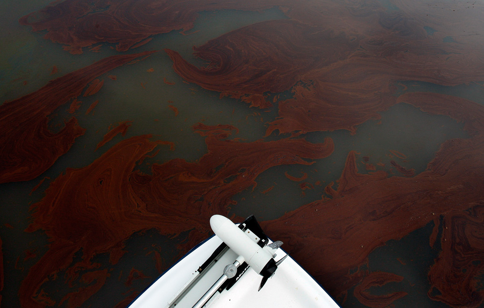 Фотография: Утечка нефти: два месяца спустя №16 - BigPicture.ru