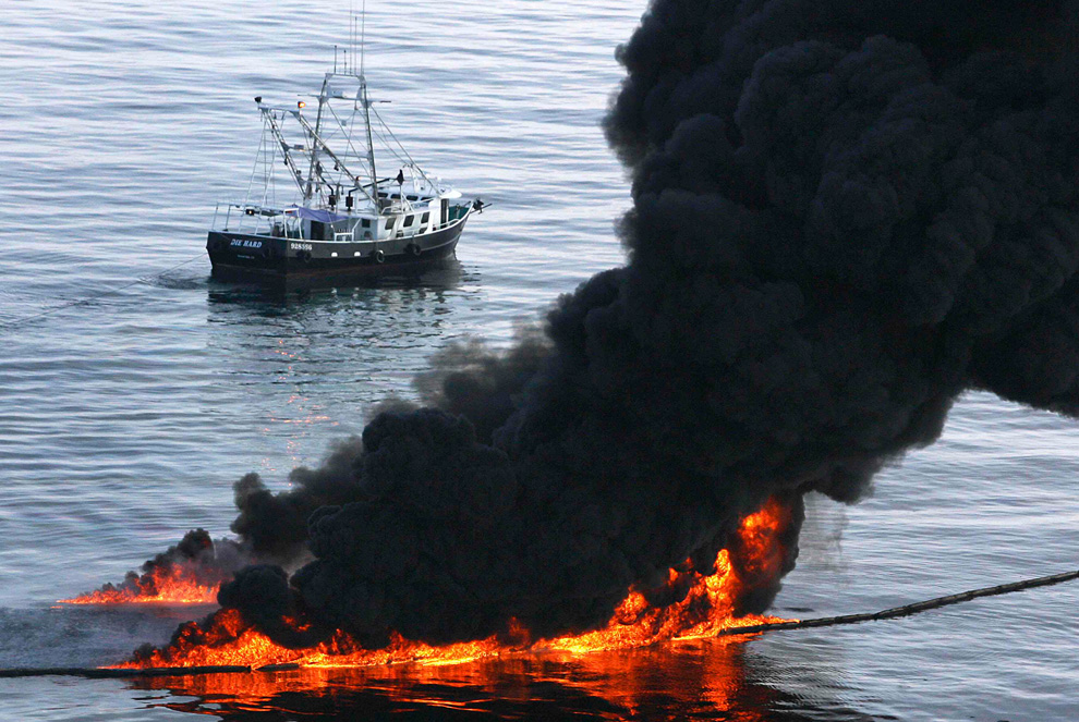Фотография: Утечка нефти: два месяца спустя №25 - BigPicture.ru