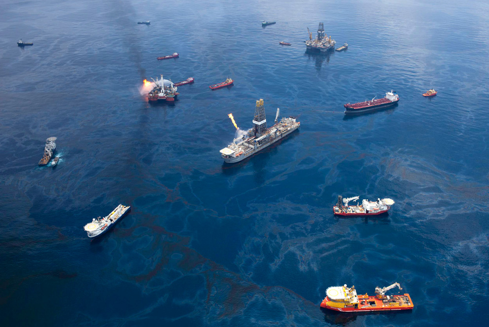 Фотография: Утечка нефти: два месяца спустя №36 - BigPicture.ru