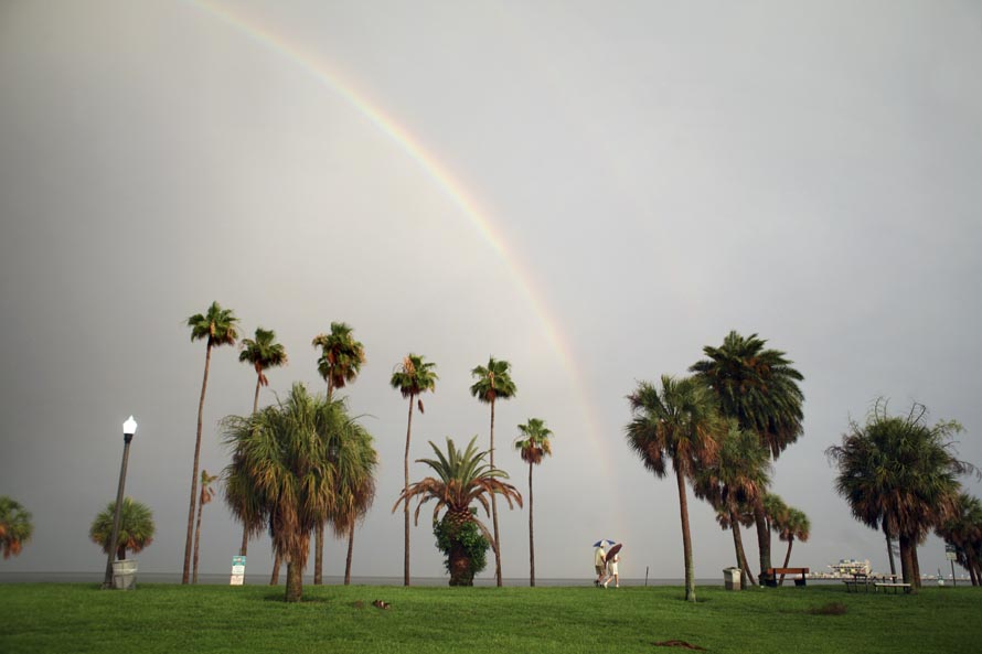 Фотография: Флоридские радуги №5 - BigPicture.ru