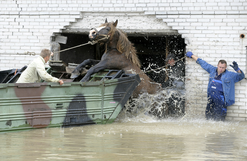 Фотография: Наводнение в Европе (Часть 2) №5 - BigPicture.ru