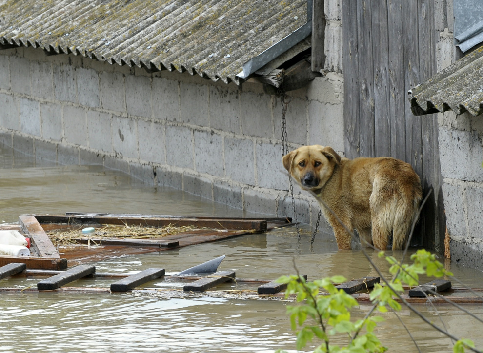 Фотография: Наводнение в Европе (Часть 2) №9 - BigPicture.ru