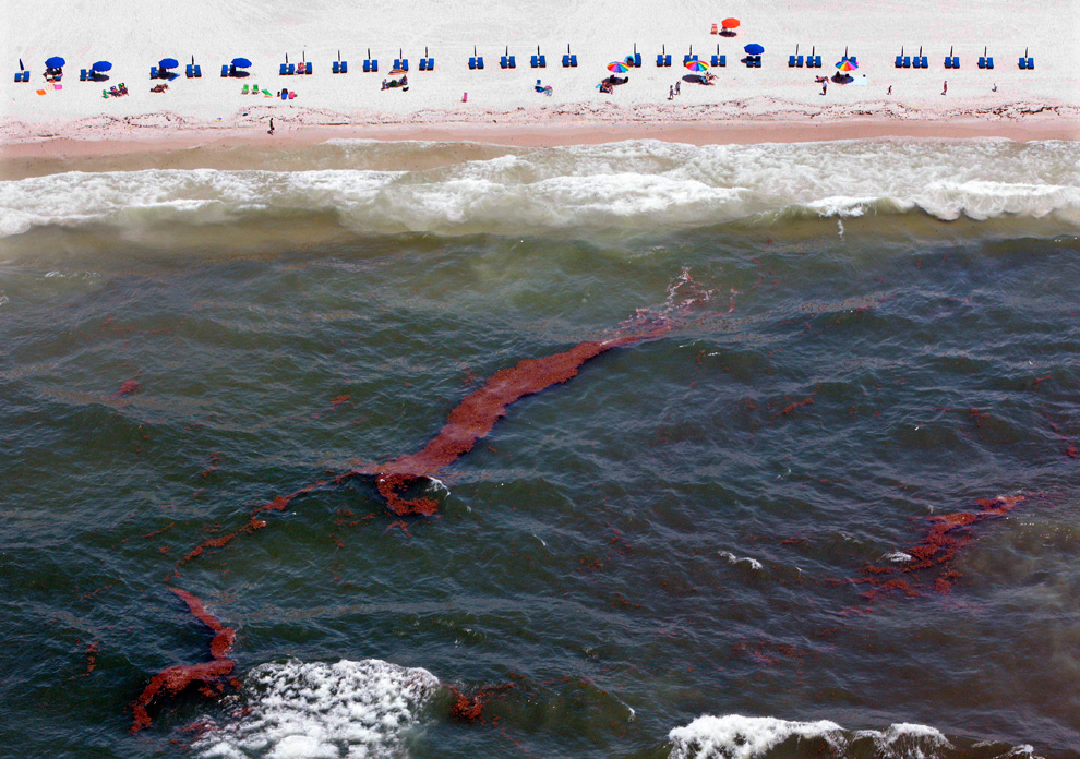 Фотография: И снова Мексиканский залив... №13 - BigPicture.ru