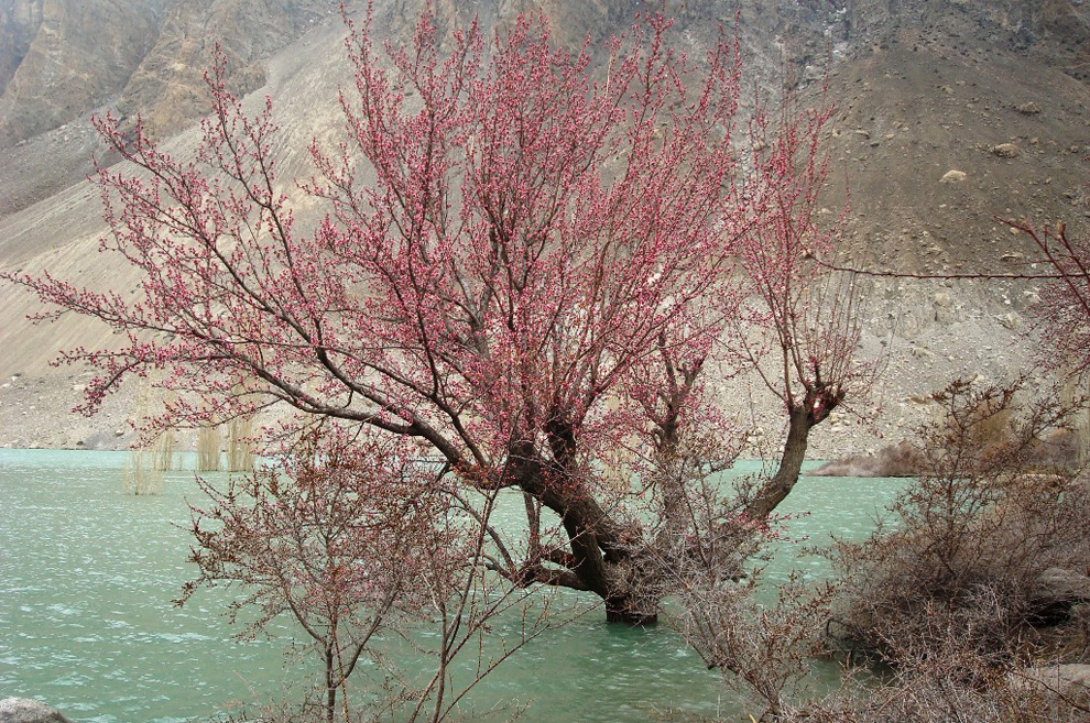 Фотография: Оползневое озеро в Пакистане №33 - BigPicture.ru