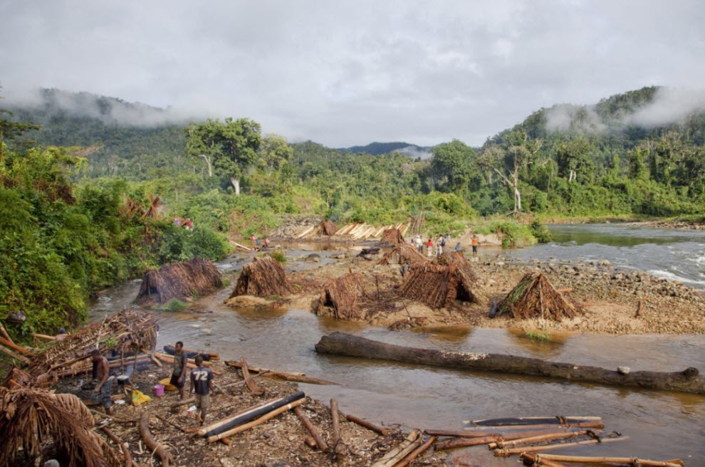 Фотография: Незаконная вырубка лесов на Мадагаскаре №12 - BigPicture.ru