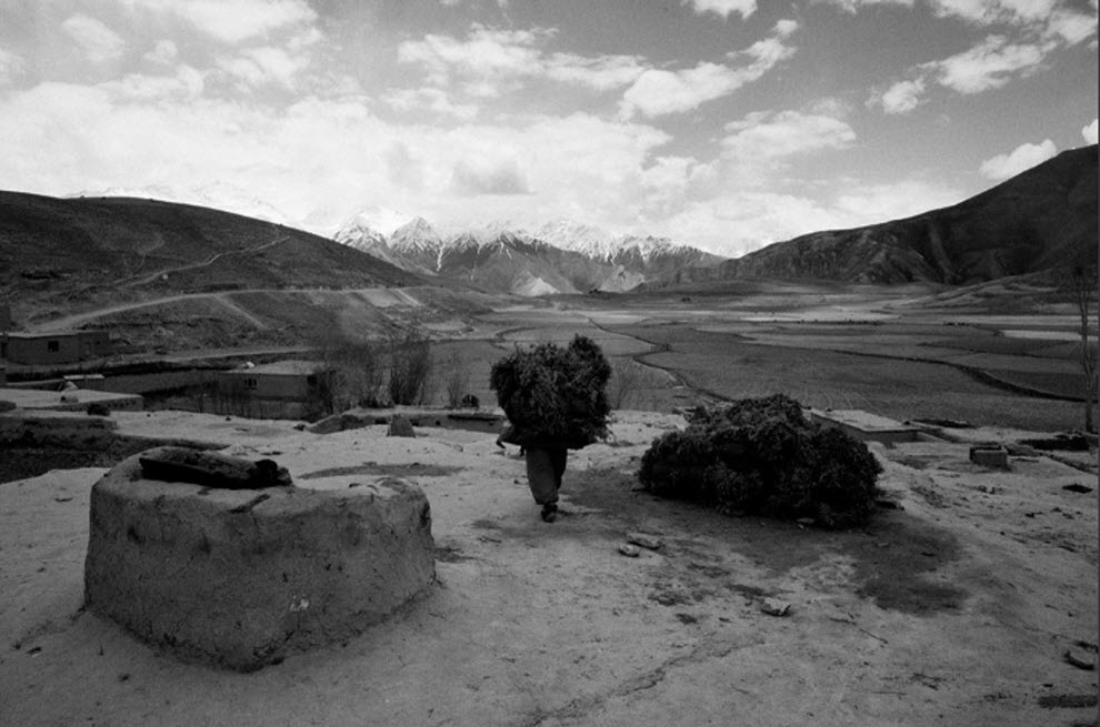 Фотография: Опиум в Афганистане №3 - BigPicture.ru