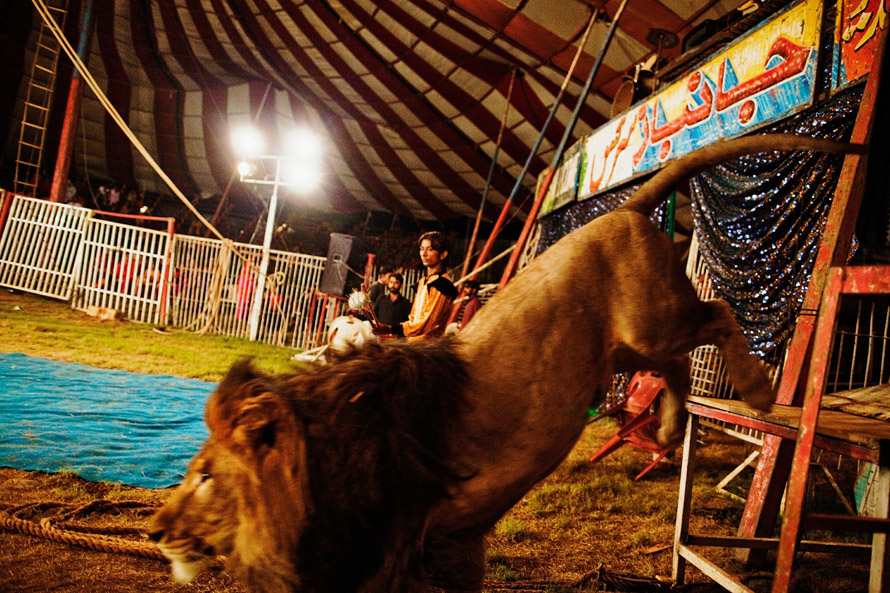 Фотография: Пакистанский цирк №14 - BigPicture.ru