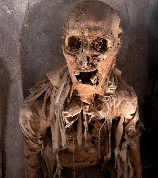 Фотография: Музей мертвецов в Палермо №44 - BigPicture.ru