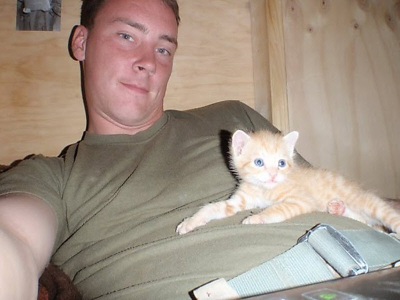 Фотография: Боевые военные коты №1 - BigPicture.ru