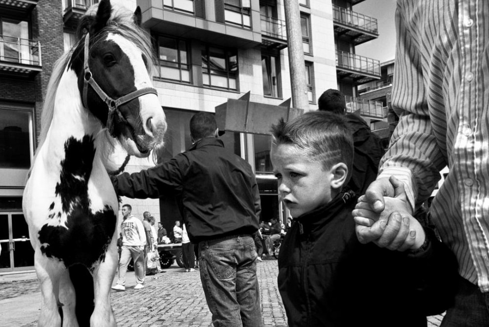 Фотография: Дублин: лошади в городе №18 - BigPicture.ru