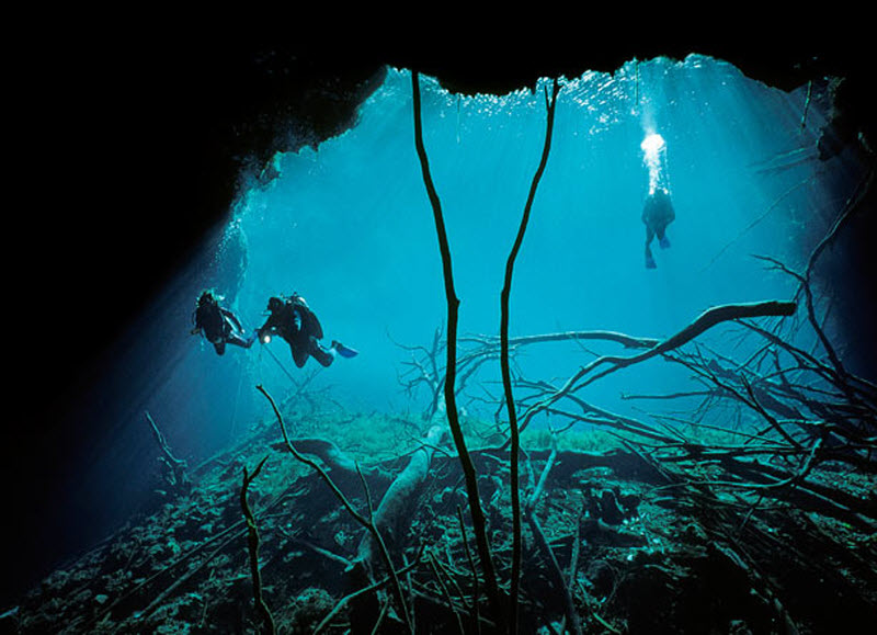 Фотография: Дайвинг в подводных пещерах №2 - BigPicture.ru