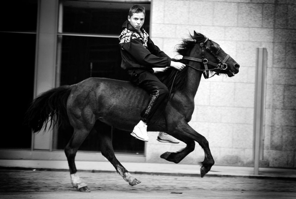 Фотография: Дублин: лошади в городе №2 - BigPicture.ru
