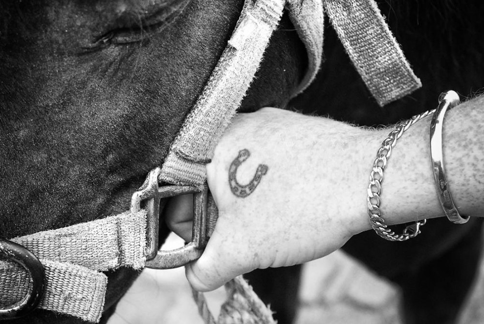 Фотография: Дублин: лошади в городе №17 - BigPicture.ru