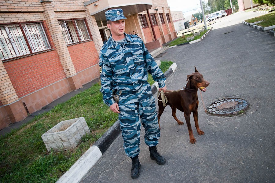 Фотография: Собаки МВД №43 - BigPicture.ru