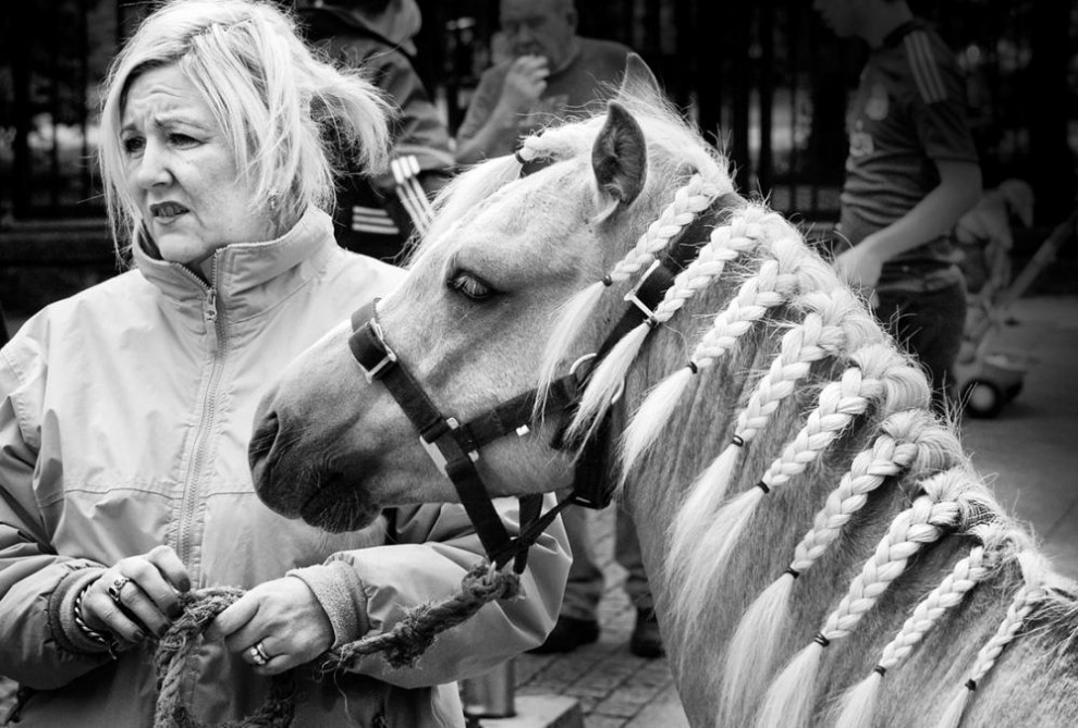 Фотография: Дублин: лошади в городе №16 - BigPicture.ru