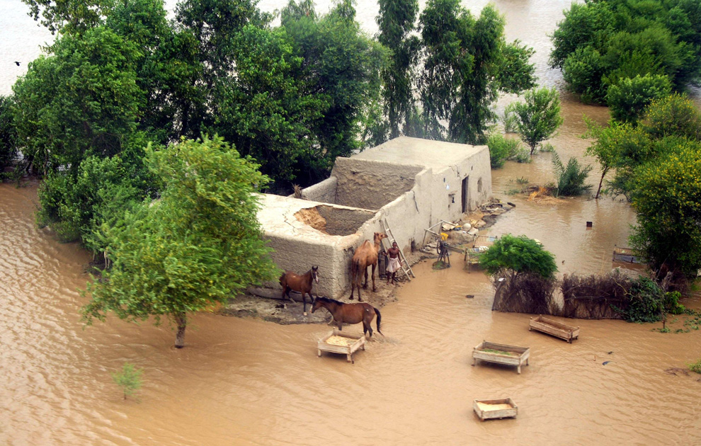 Фотография: Наводнения в Пакистане (Часть 2) №9 - BigPicture.ru