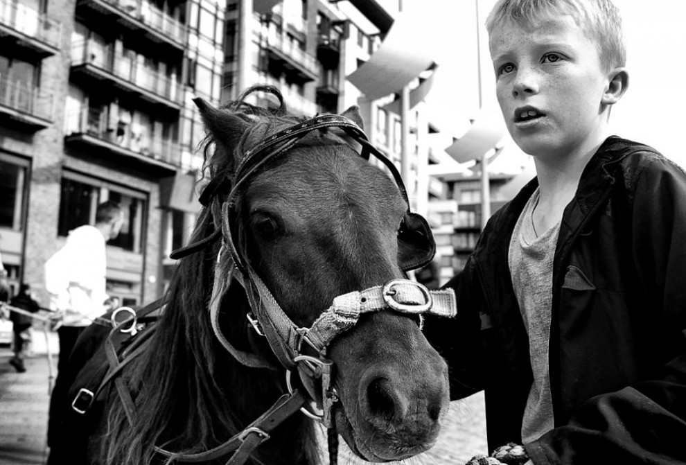 Фотография: Дублин: лошади в городе №15 - BigPicture.ru