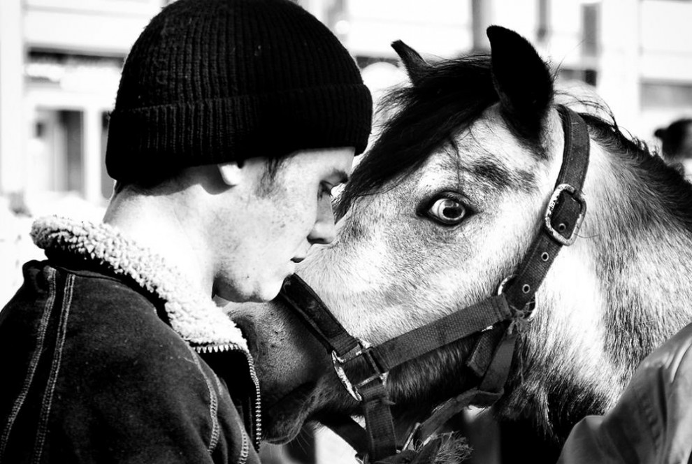 Фотография: Дублин: лошади в городе №11 - BigPicture.ru