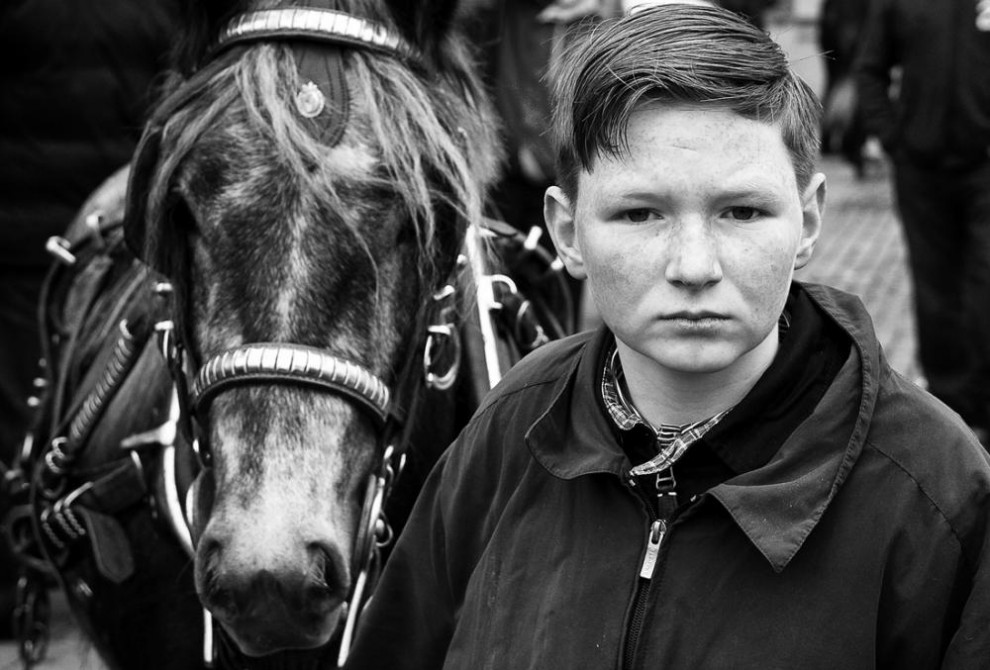 Фотография: Дублин: лошади в городе №10 - BigPicture.ru