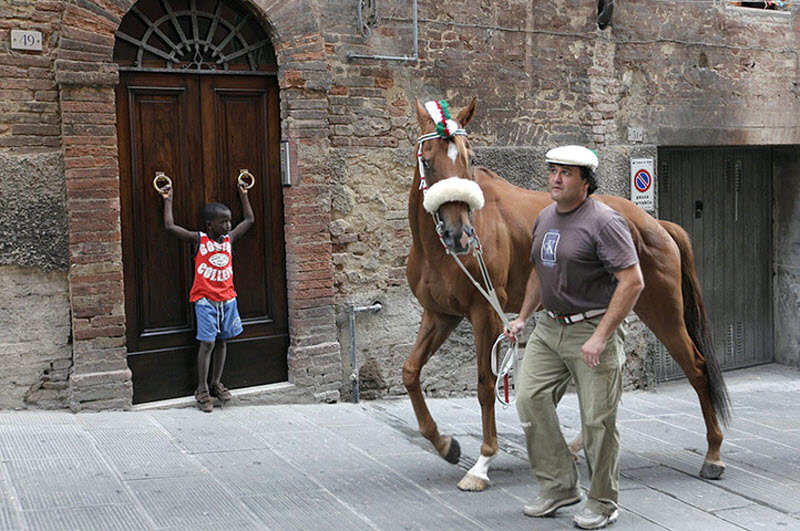 Bigpicture.ru Лошадь ведут по улицам Сиены. В скачках принимают участие 10 всадников, каждый из которых представляет 10 из 17 «контрад» - средневековых округов Сиены