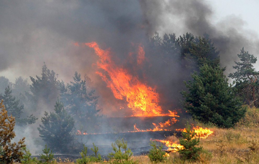Фотография: Лесные пожары в России продолжаются (Часть 2) №17 - BigPicture.ru
