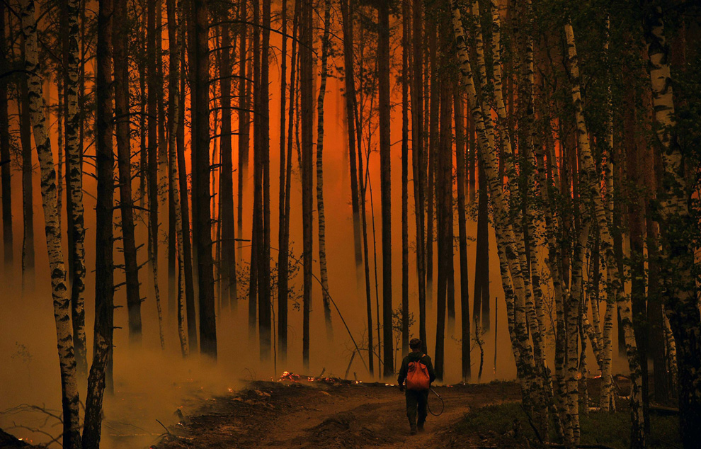 Фотография: Лесные пожары в России продолжаются (Часть 2) №21 - BigPicture.ru
