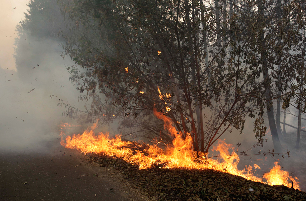 Фотография: Лесные пожары в России продолжаются (Часть 2) №25 - BigPicture.ru