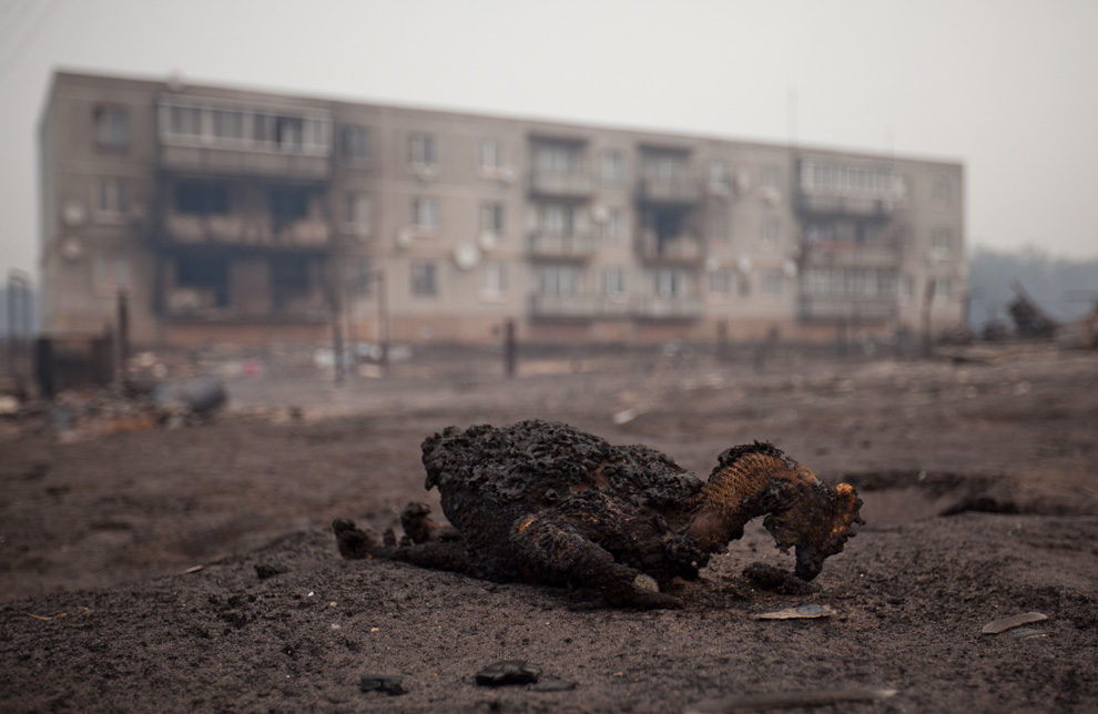 Фотография: Пожары в России (Часть 3) №24 - BigPicture.ru