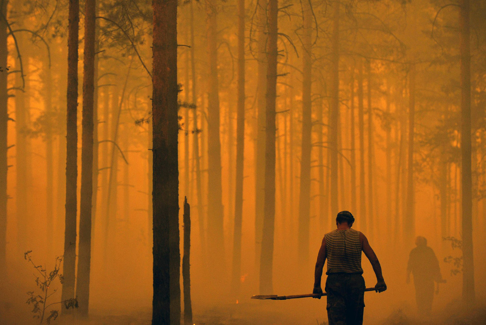 Фотография: Лесные пожары в России продолжаются (Часть 2) №37 - BigPicture.ru