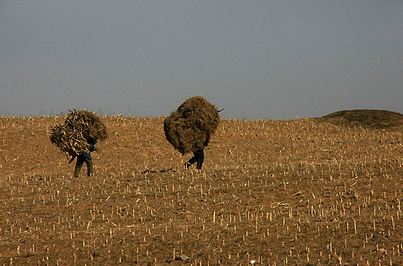 Фотография: Редкие виды сельской Северной Кореи №13 - BigPicture.ru
