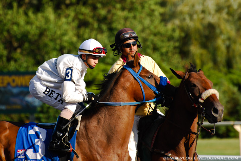 Фотография: Арлингтон парк: лошадиные бега №10 - BigPicture.ru