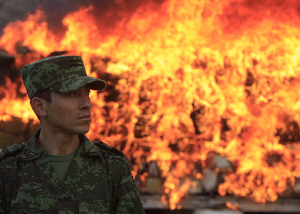 Фотография: Сожжение 134 тонн марихуаны в Тихуане №5 - BigPicture.ru