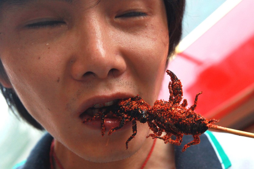 Фотография: Употребление насекомых в пищу №8 - BigPicture.ru