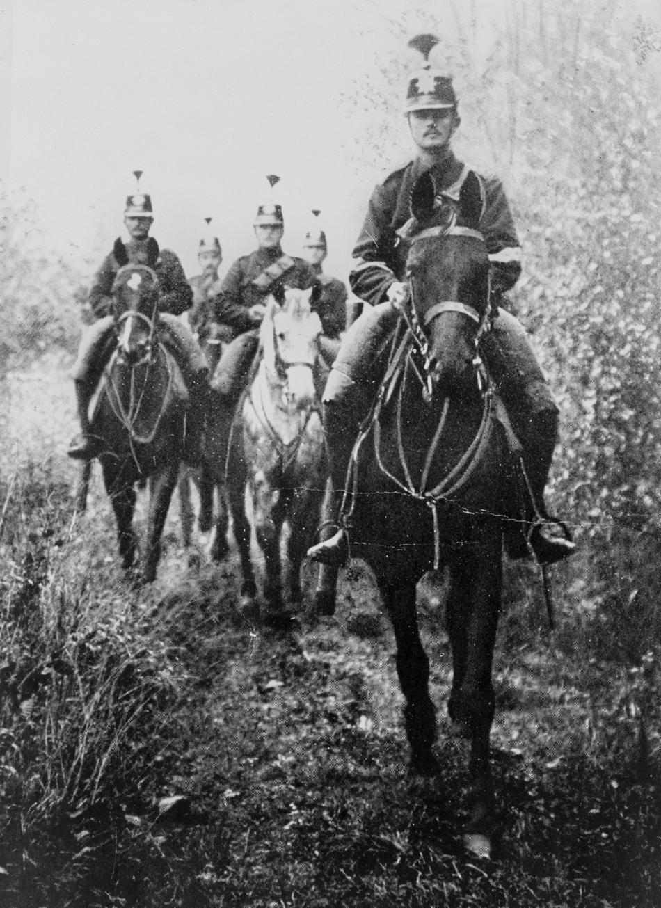 Фото животные на войне 1941 1945