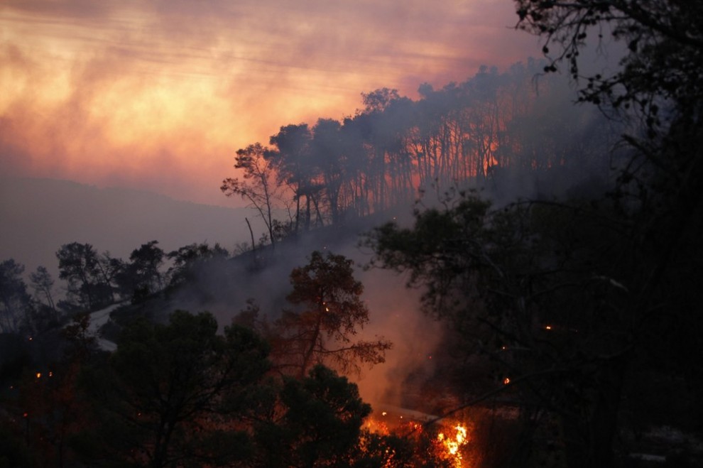 Фотография: Лесной пожар в Израиле (Часть 1) №8 - BigPicture.ru