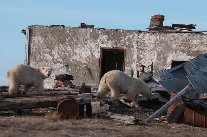 Фотография: Следы на земле, или Кто в ответе за нашу Арктику? №4 - BigPicture.ru