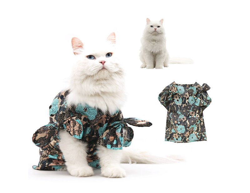 Фотография: Календарь с модными кошками №5 - BigPicture.ru