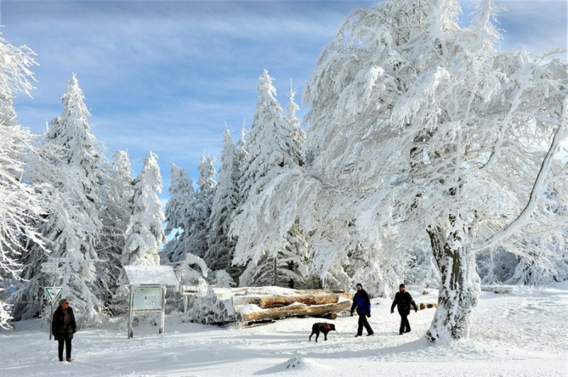 Фотография: В Европу пришла морозная и снежная зима №1 - BigPicture.ru