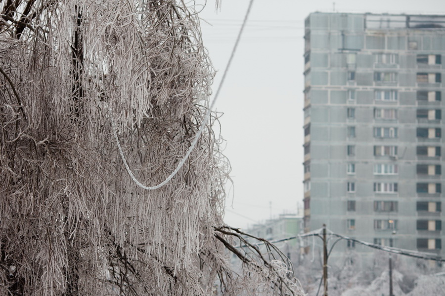 Фотография: Ледяной дождь в Москве №11 - BigPicture.ru
