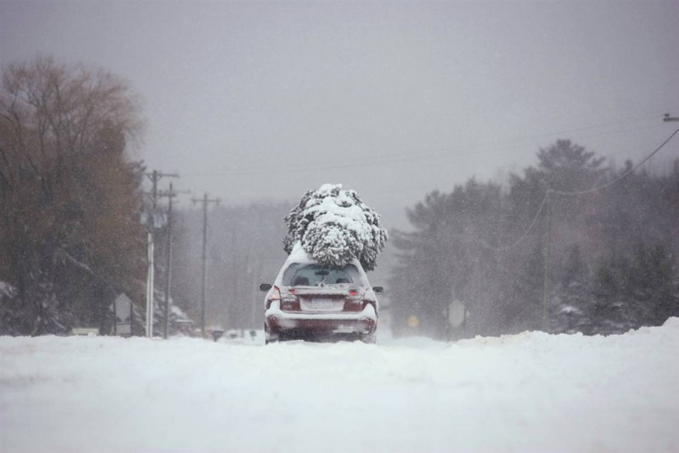 Фотография: В объятиях суровой зимы №20 - BigPicture.ru