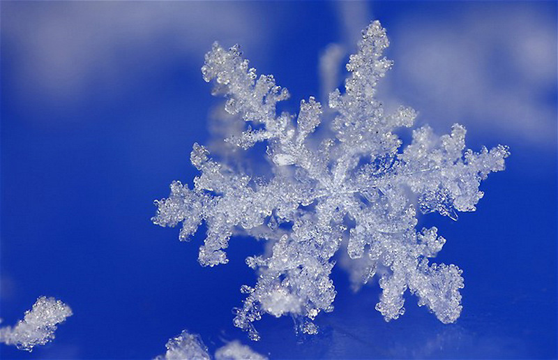 Фотография: Мир снежинок и инея в макрообъективе Брайана Валентайна №3 - BigPicture.ru