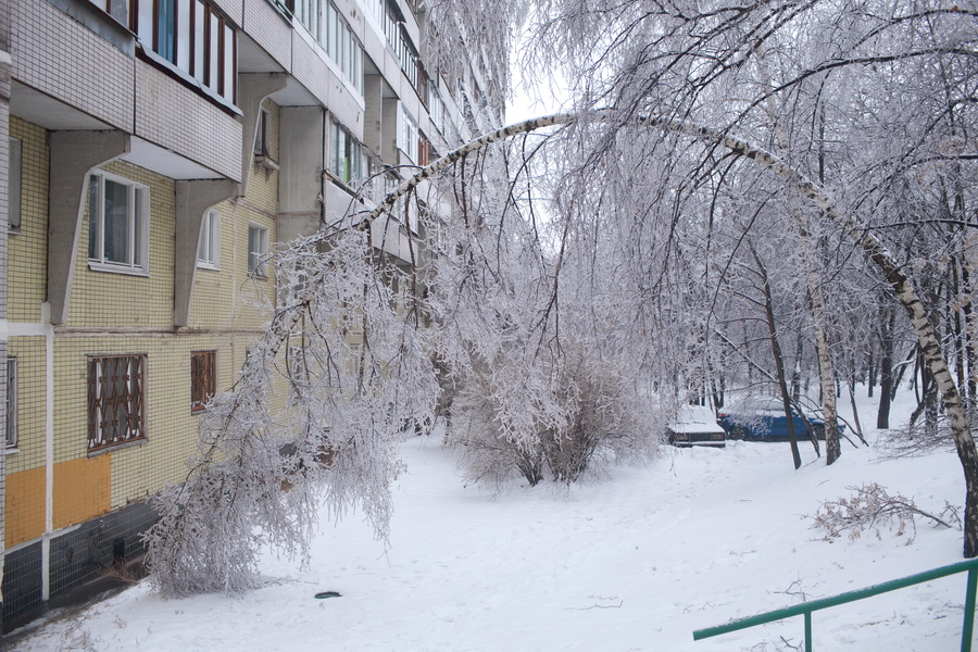 Фотография: Ледяной дождь в Москве №26 - BigPicture.ru