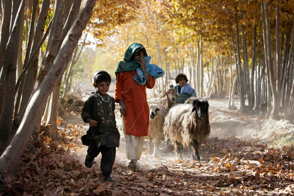 Фотография: Афганистан: ноябрь 2010 №9 - BigPicture.ru
